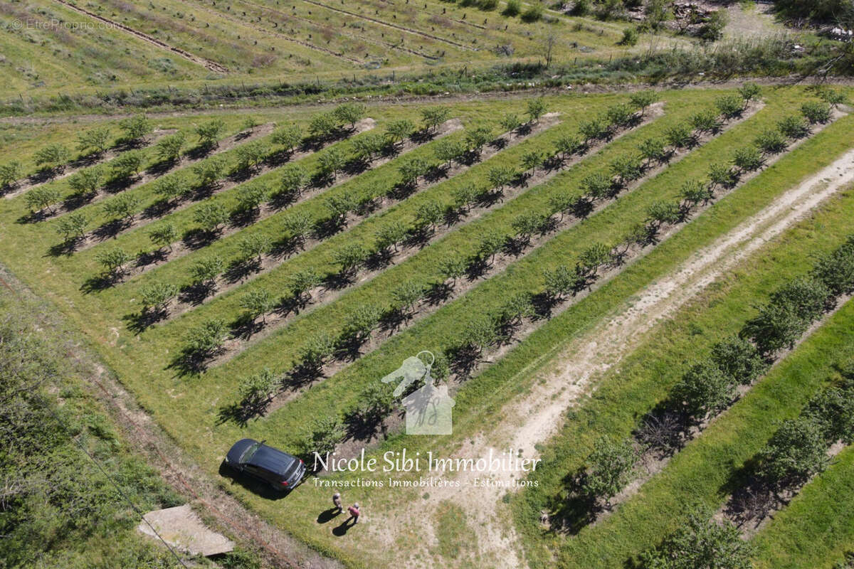 Terrain 23720 m² à Rodes  - photo 2