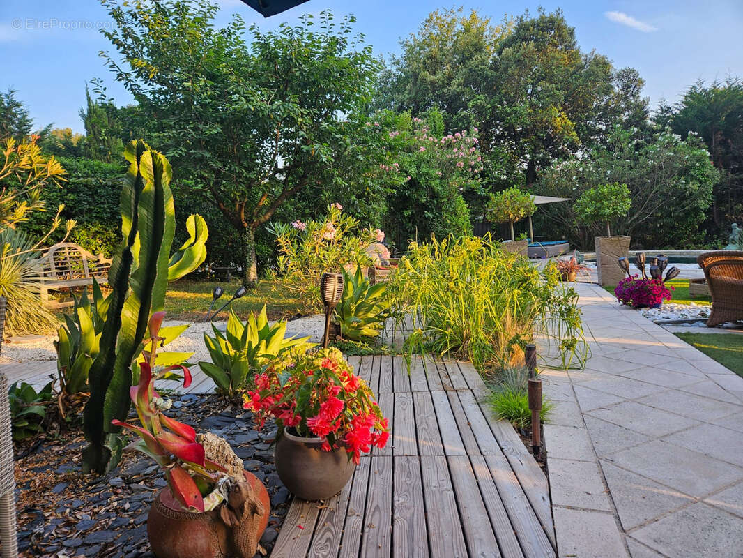 Maison à ROQUEFORT-LES-PINS