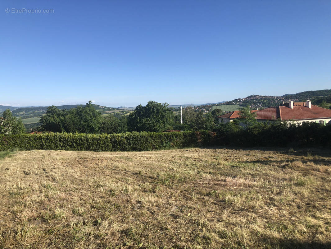 Terrain à LA ROCHE-BLANCHE