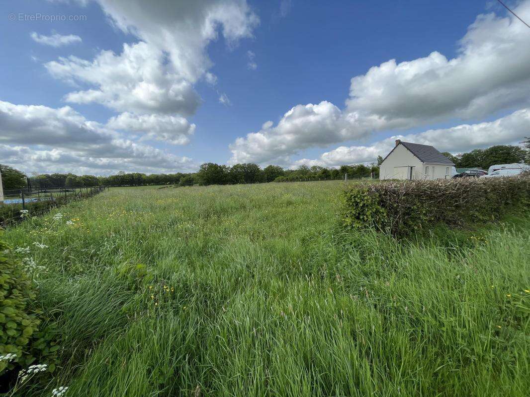 Terrain à MONDREPUIS