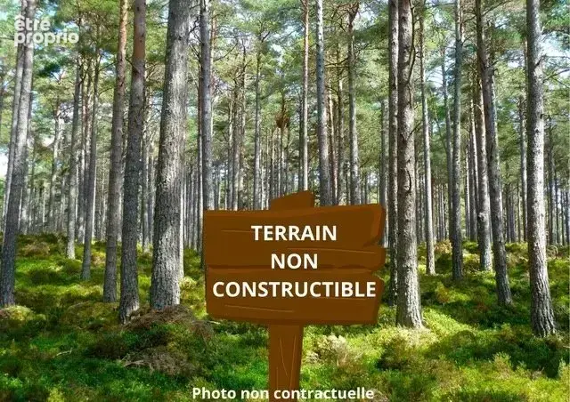 Photo Terrain à Donnezac au prix de 11 400€
