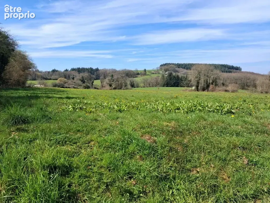 Terrain à NEUVIC-ENTIER