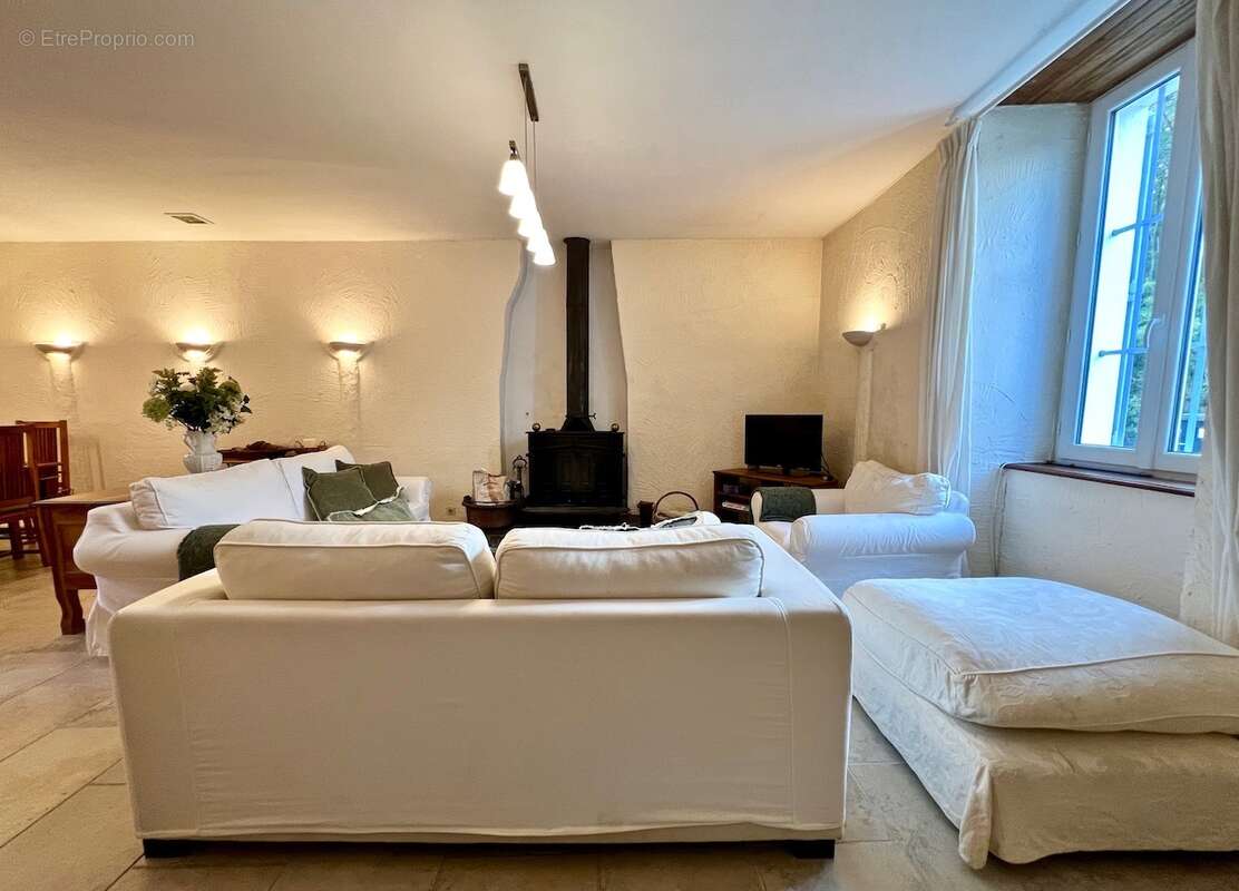 Maison 300 m² à Lespinassiere  - photo 35