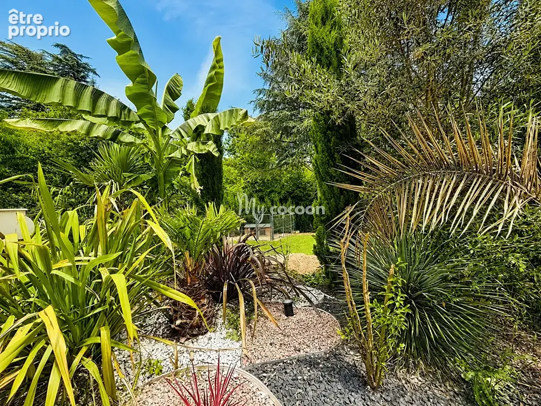 Collonges-au-Mont-d'Or - Maison T6 - 110 m² - Terrain - Piscine - photo 4