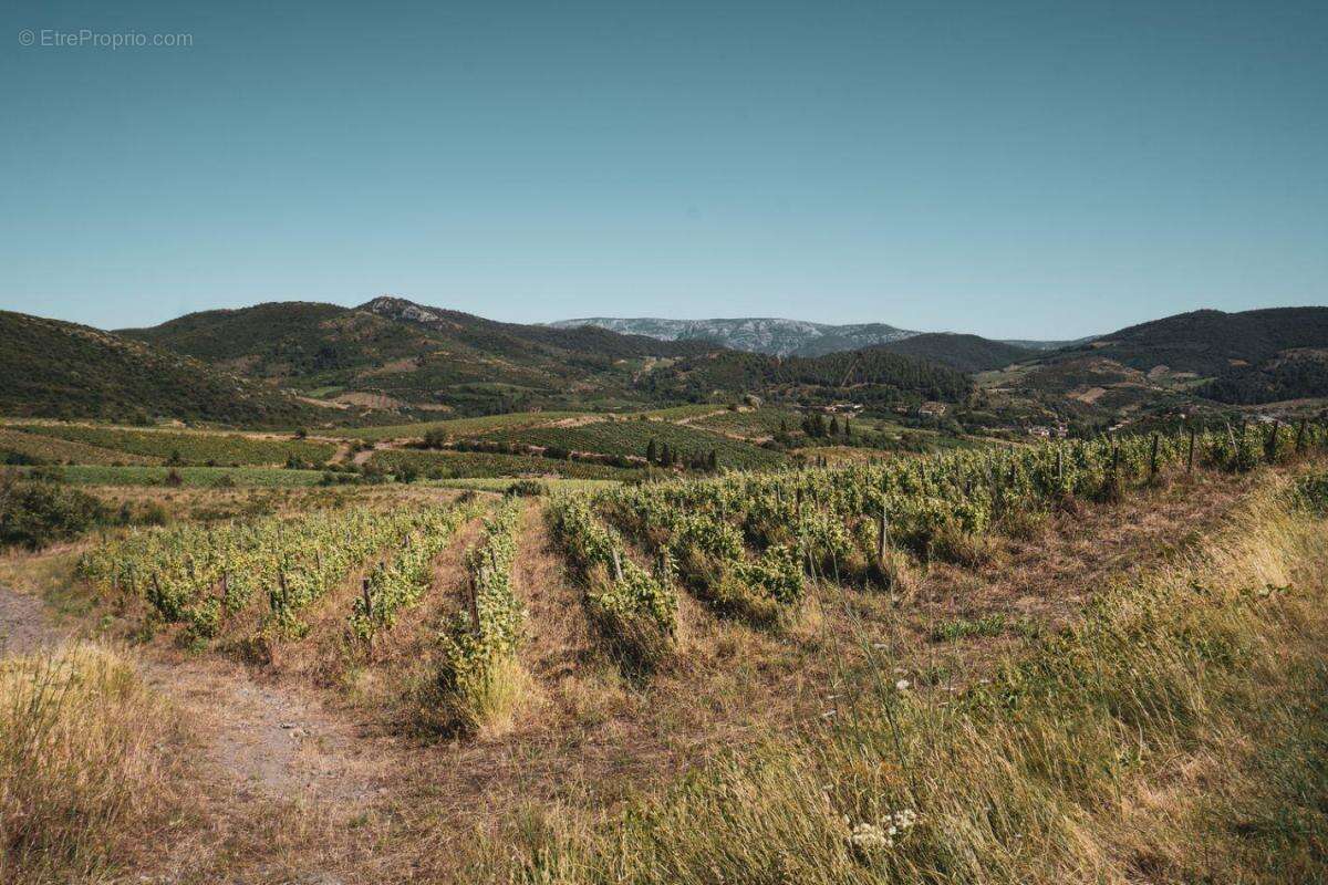 Terrain à CASCASTEL-DES-CORBIERES