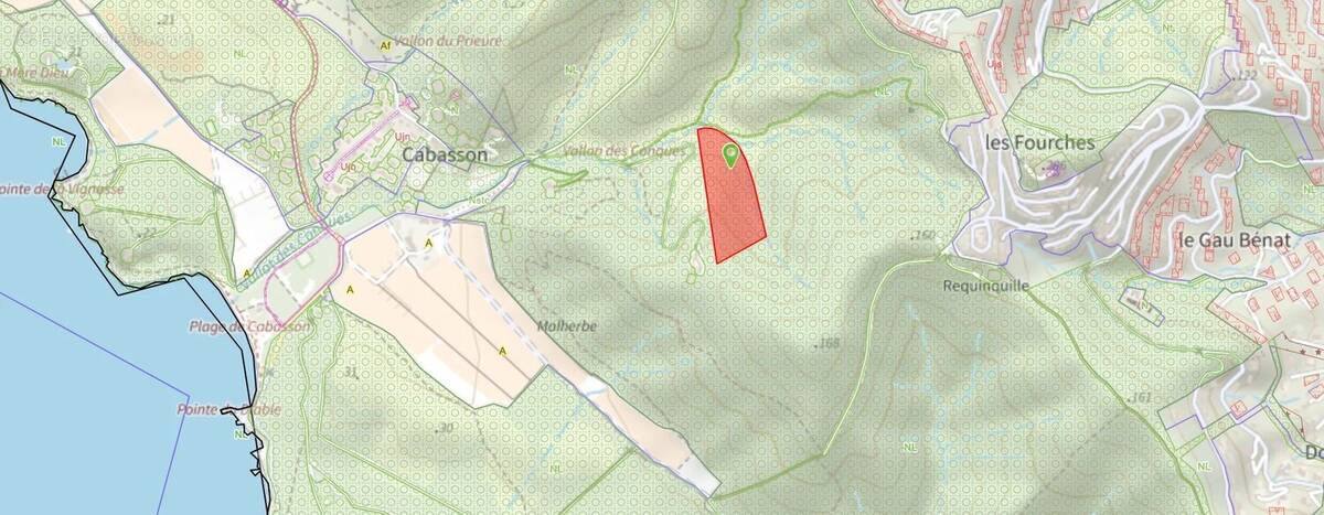 Terrain à BORMES-LES-MIMOSAS