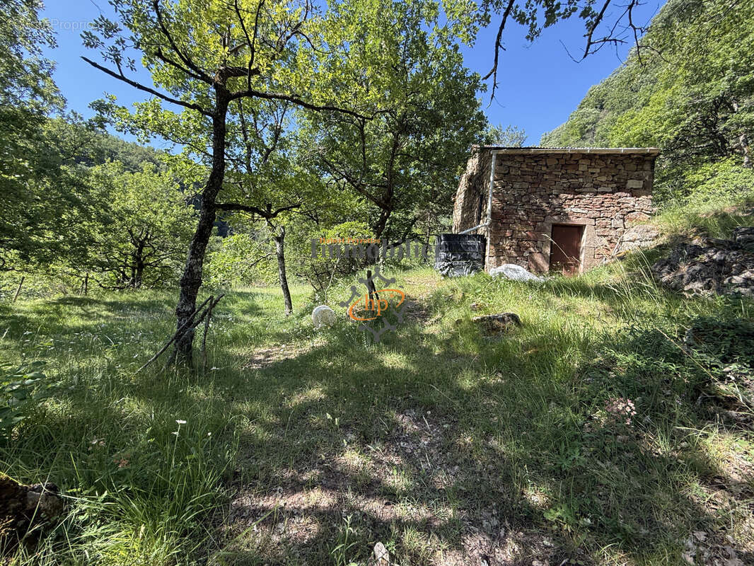 Vente Mazet Versols et Lapeyre, 1,25 hectares de terrains - photo 2