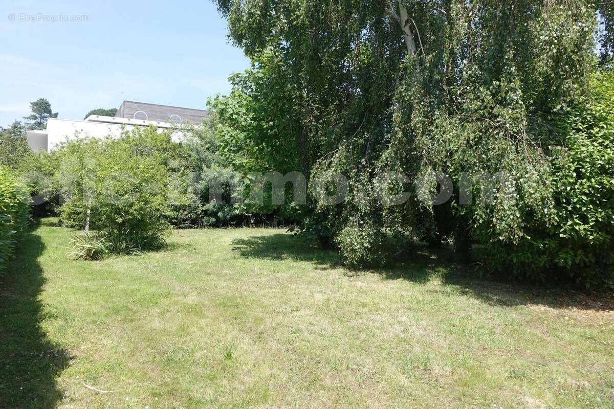 DSC05308 - Maison à SARZEAU