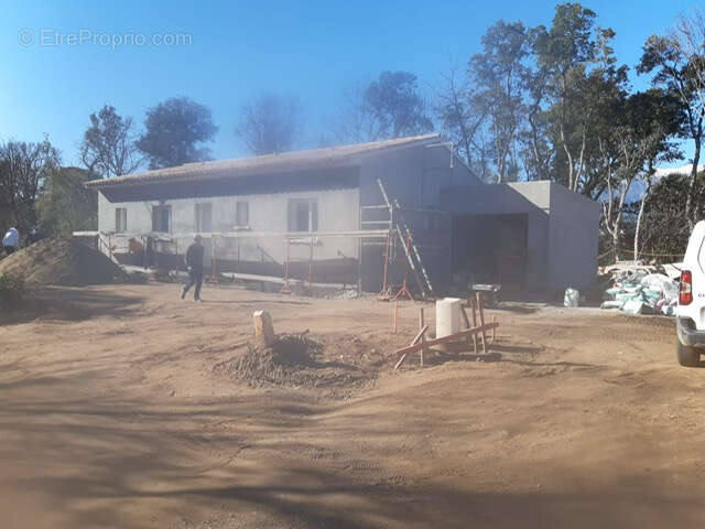 Terrain à PRUNELLI-DI-FIUMORBO