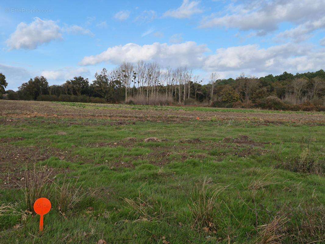 Terrain à RIANTEC