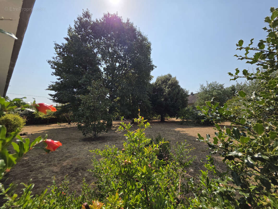 'La familiale' - Villa avec piscine et jardin - photo 25