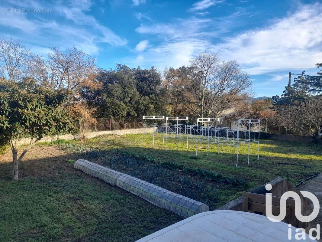 Photo 5 - Maison à SAINT-JEAN-PLA-DE-CORTS