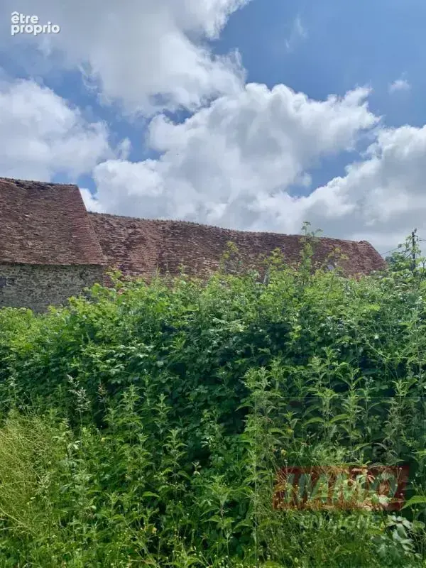 Corps de ferme - photo 3