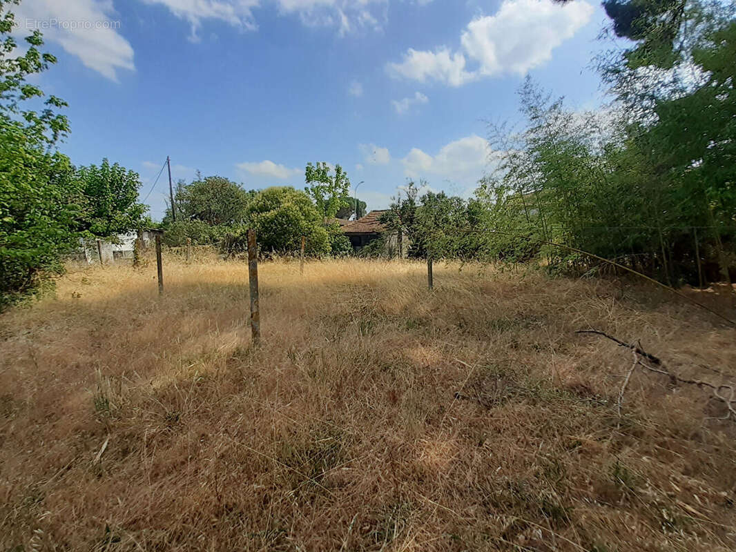 CASTELJALOUX Terrain constructible de 841 m² - photo 3