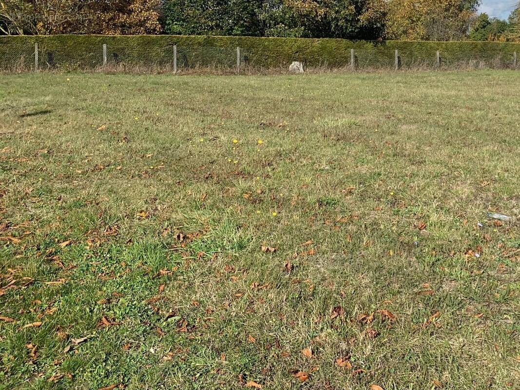 Terrain à VENDEUVRE-DU-POITOU