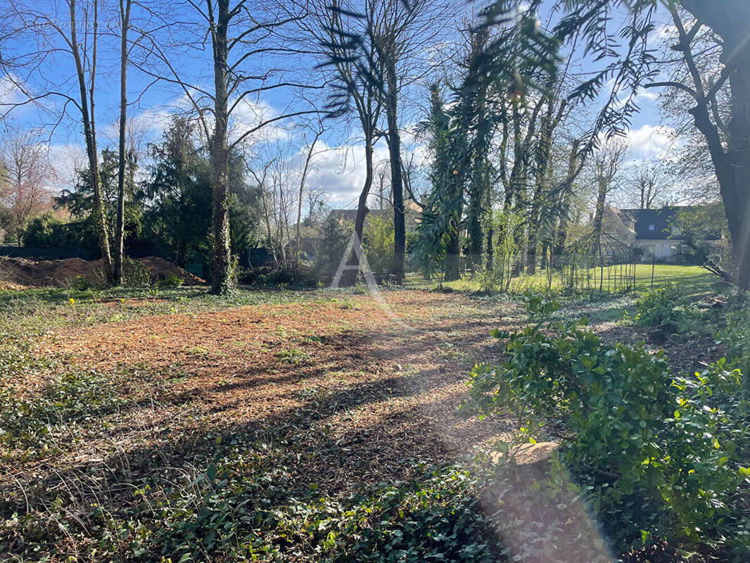 Terrain à LE MESNIL-LE-ROI