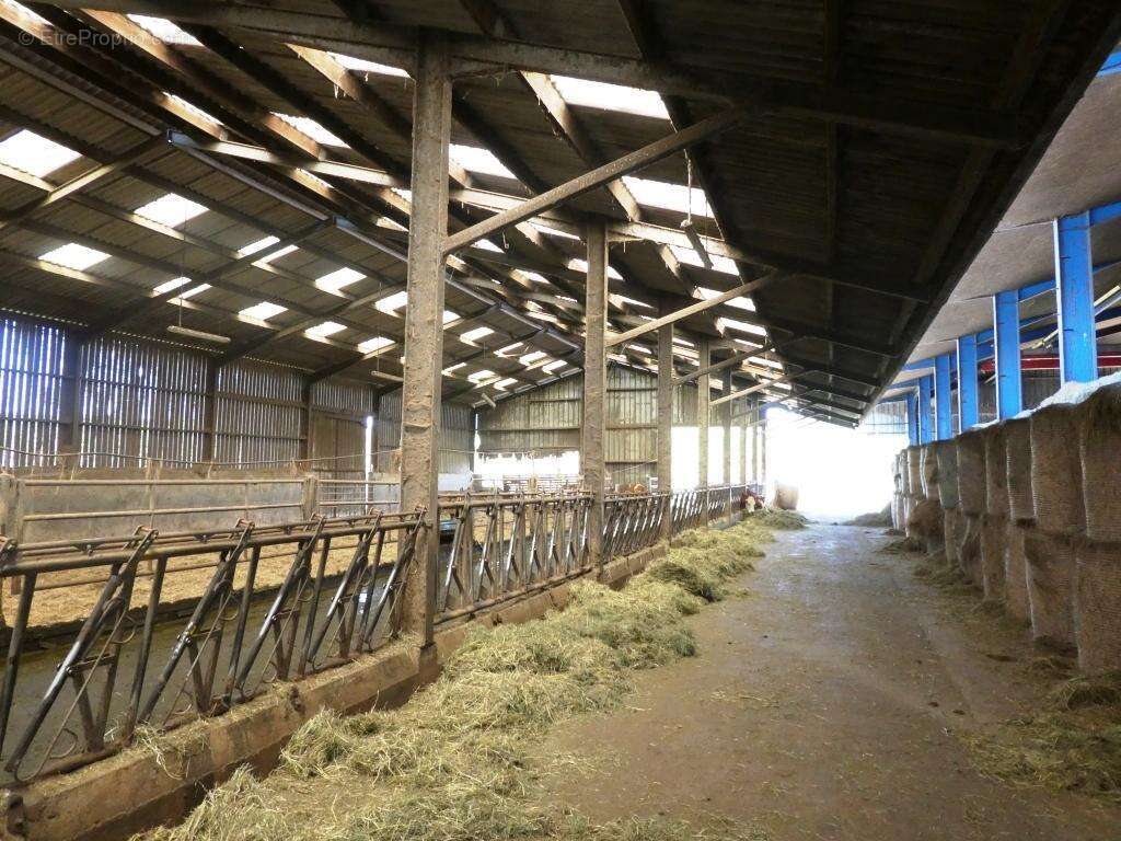 Exploitation agricole - photo 9