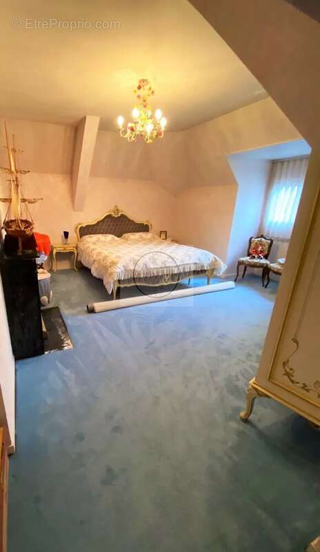 Propriete bourgeoise sur 1350 m² de terrain - photo 14