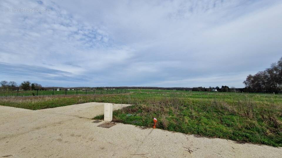 Terrain à MONTIGNY