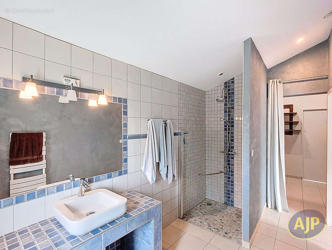 Maison à VIEILLEVIGNE