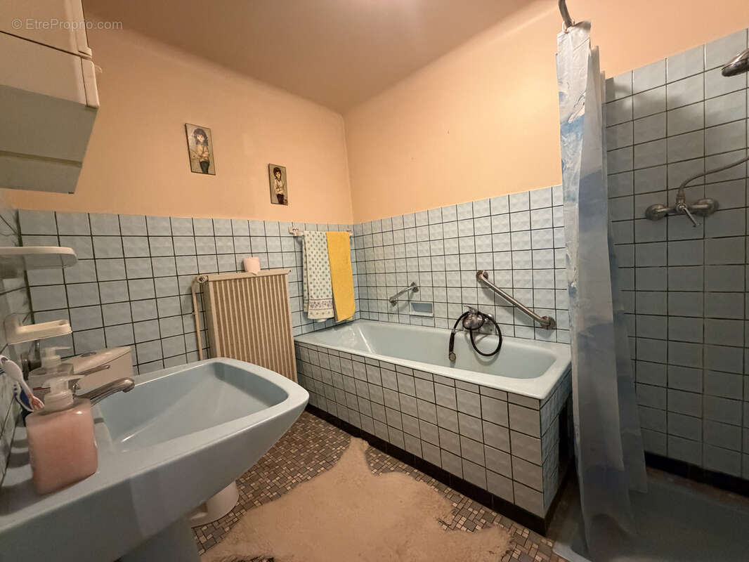 Maison mitoyenne F5 avec grange et dépendances sur 17,26 are - photo 12