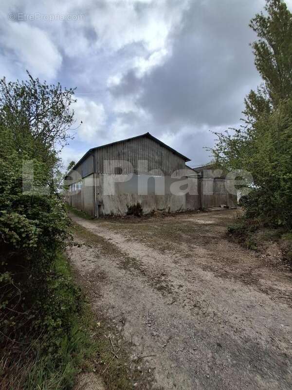 20260416_105536 - Commerce à SAINTE-GENEVIEVE