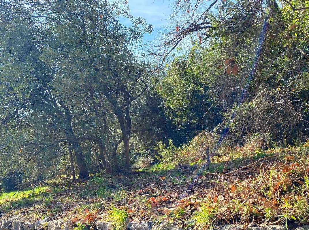 A vendre  proche commodités  peyruis terrain de 1285 m2 baisse de prix - photo 6