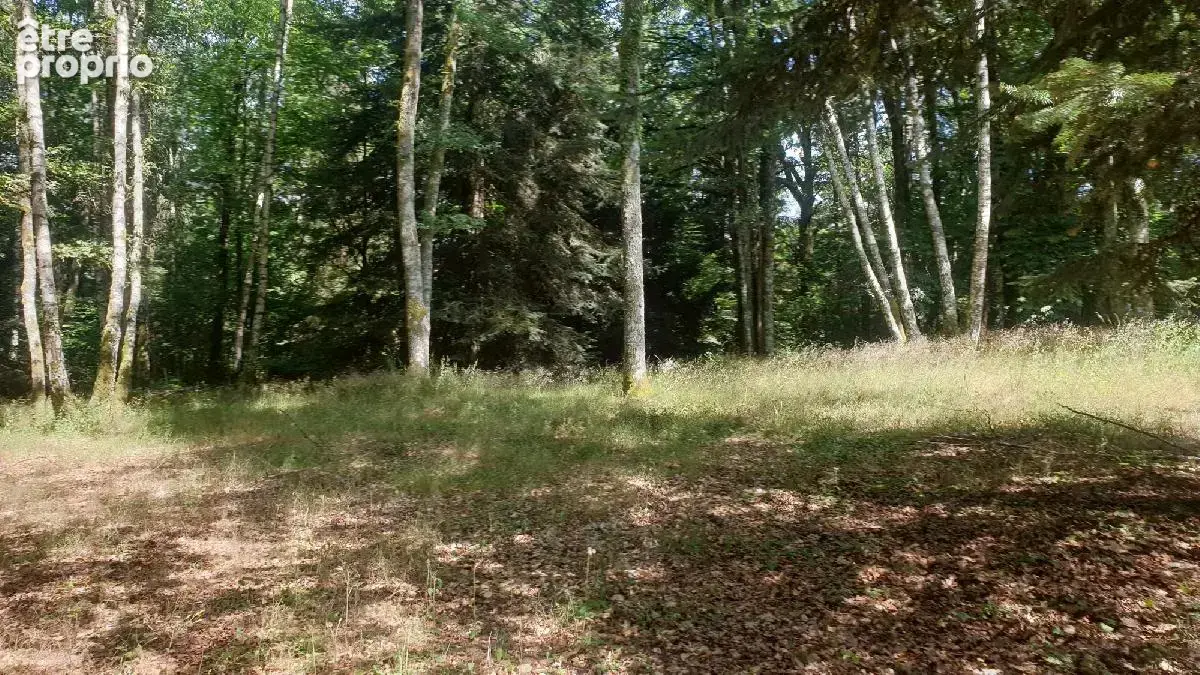 Maison 5 pièces 139 m² à vendre à Linards (87130) - photo 2