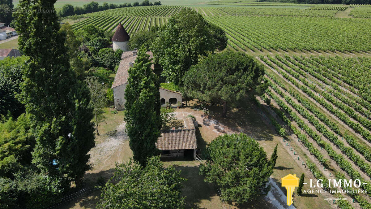 Maison à SAINT-FORT-SUR-GIRONDE