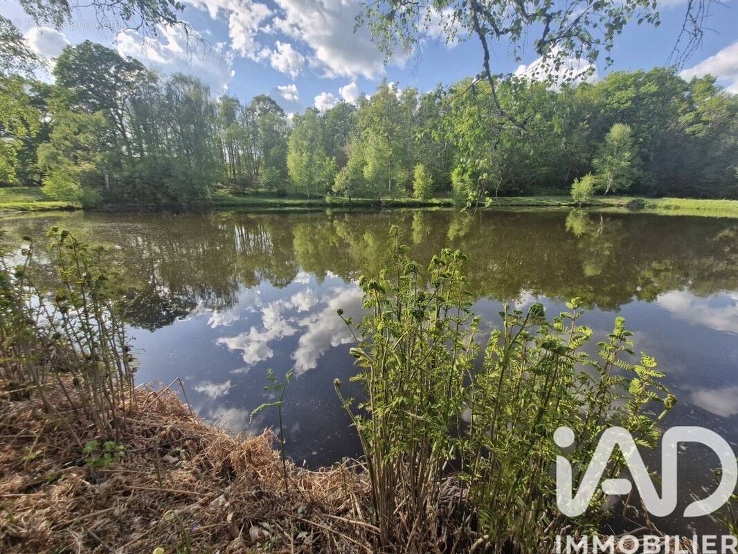 Photo 1 - Terrain à COGNAC-LA-FORET