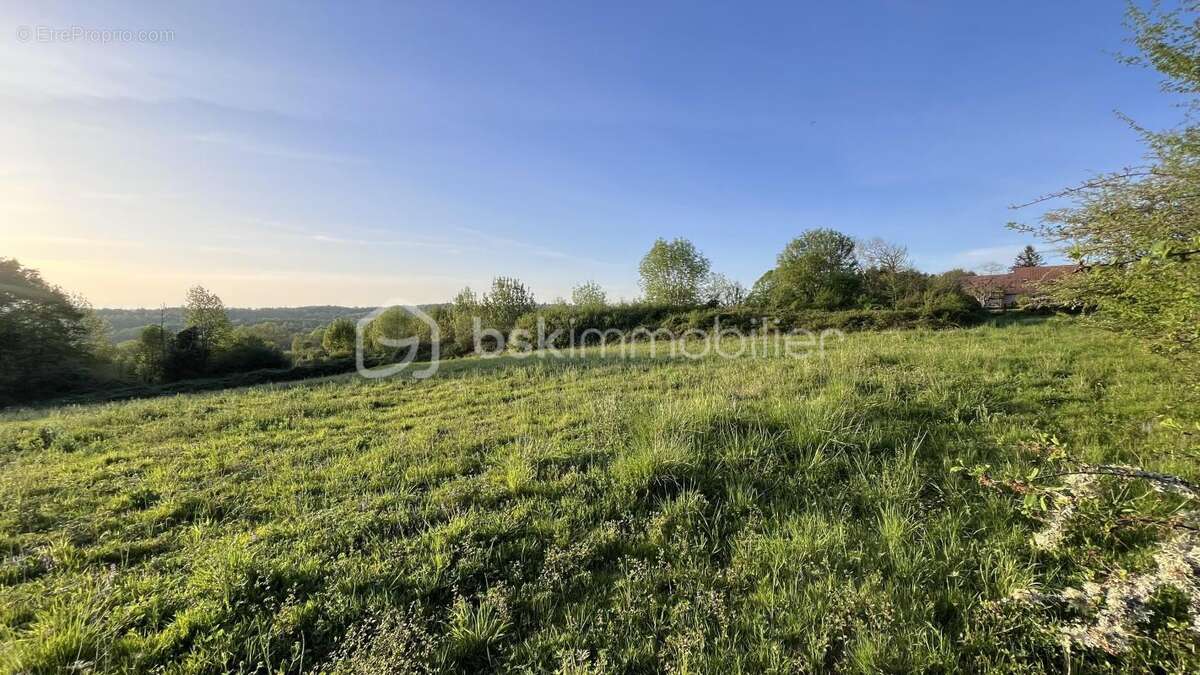 La Dordogne, Commune de Châtres, Terrain, 6600 M² - photo 5