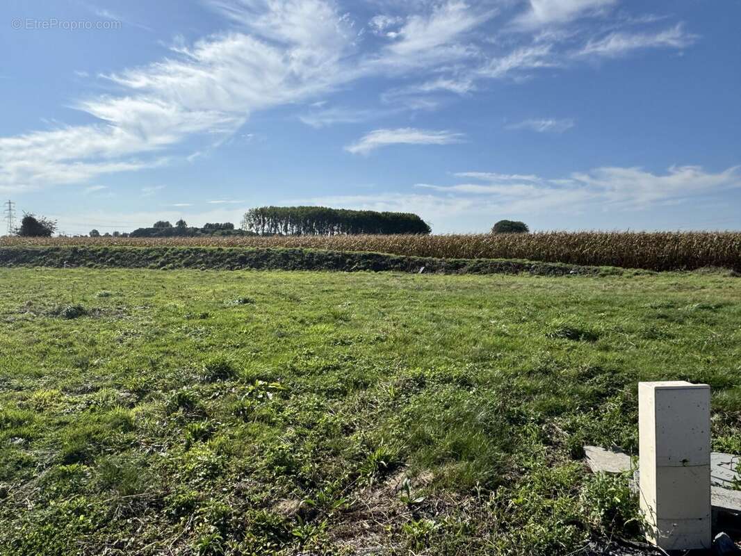 Terrain à ENNEVELIN