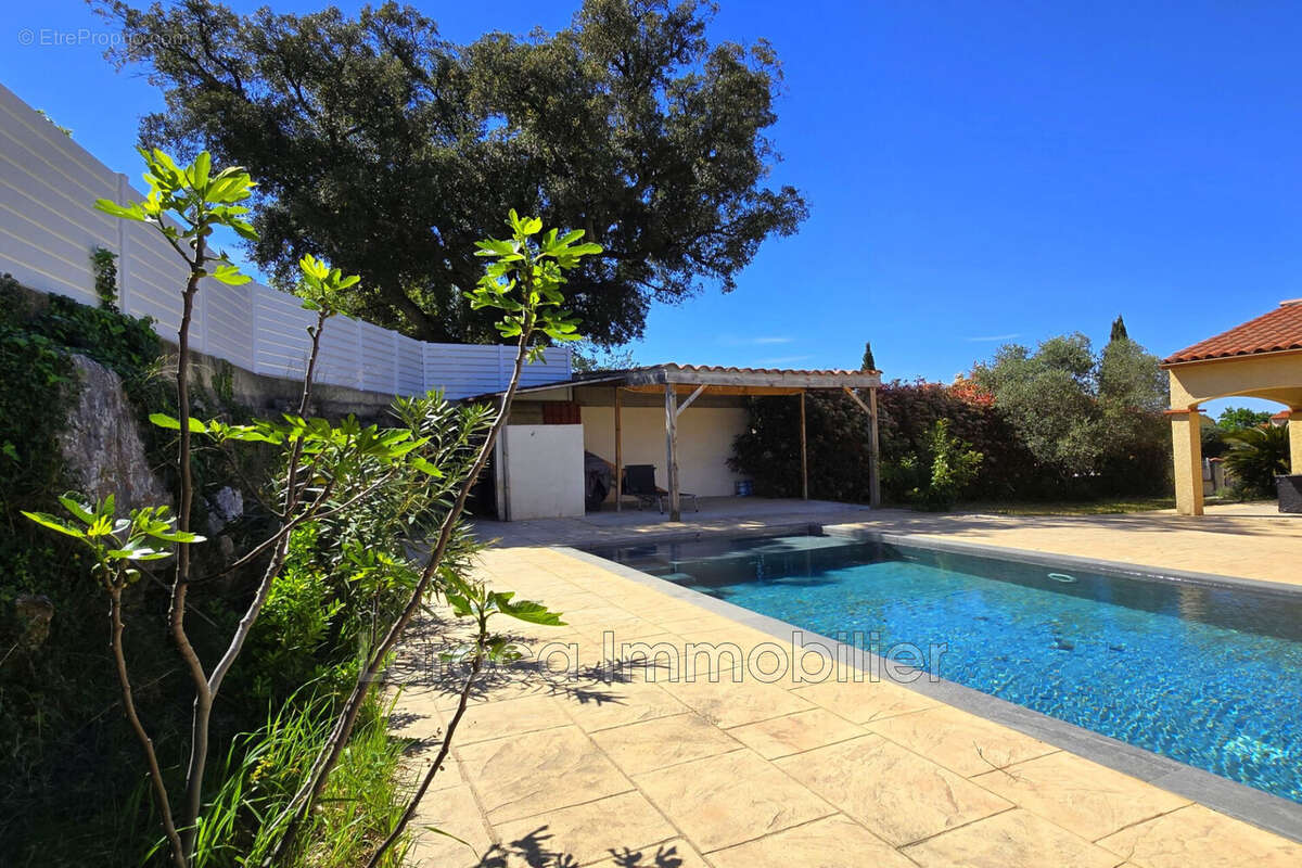 Maison à LAROQUE-DES-ALBERES