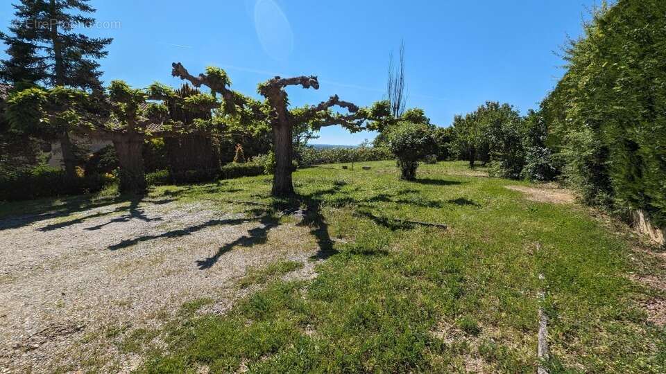 Terrain 746 m² à Gratentour  - photo 2