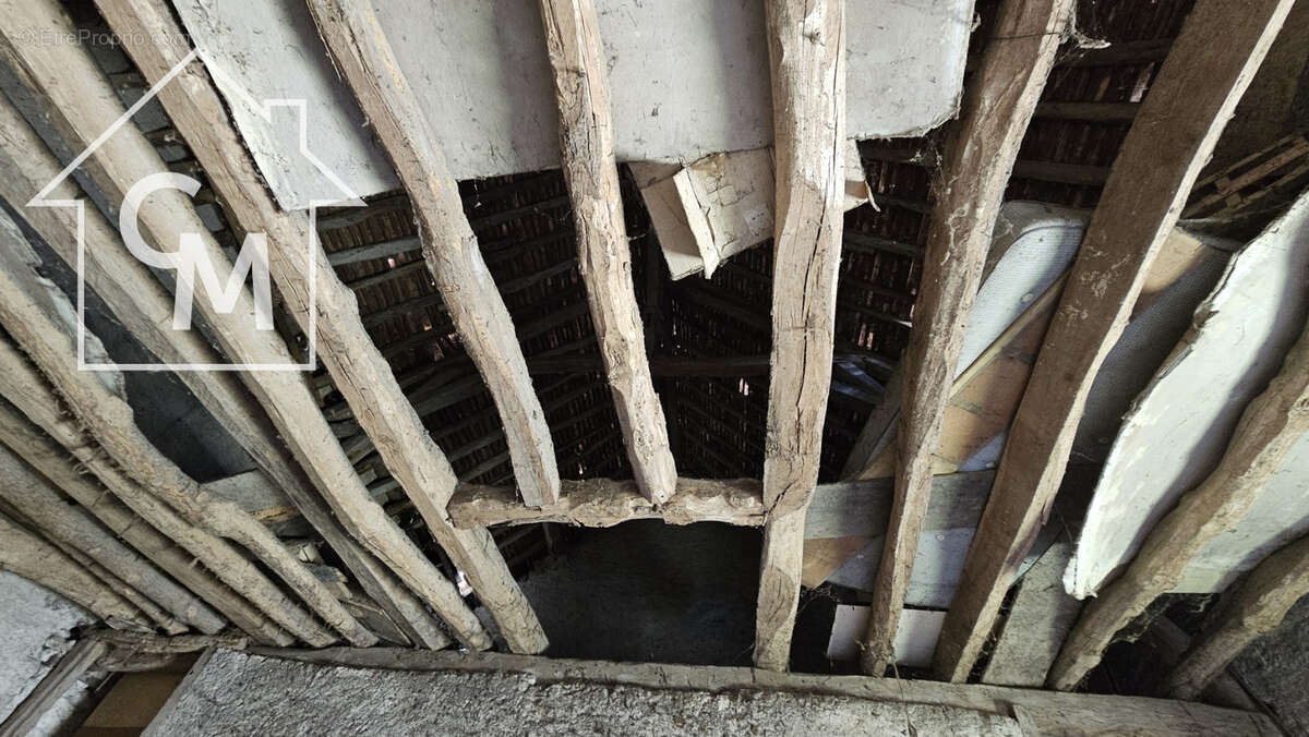Maison avec dépendance - photo 25