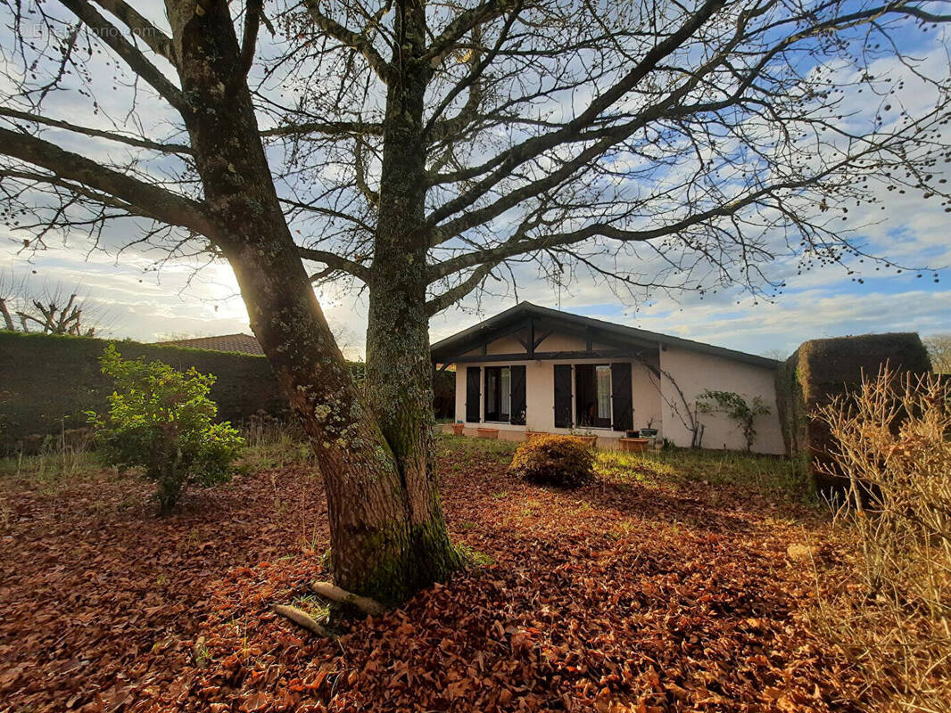 Maison à SAINT-VINCENT-DE-TYROSSE