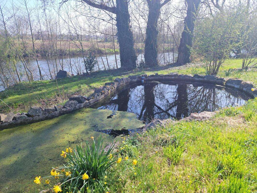 Maison à MONTREUIL-BELLAY