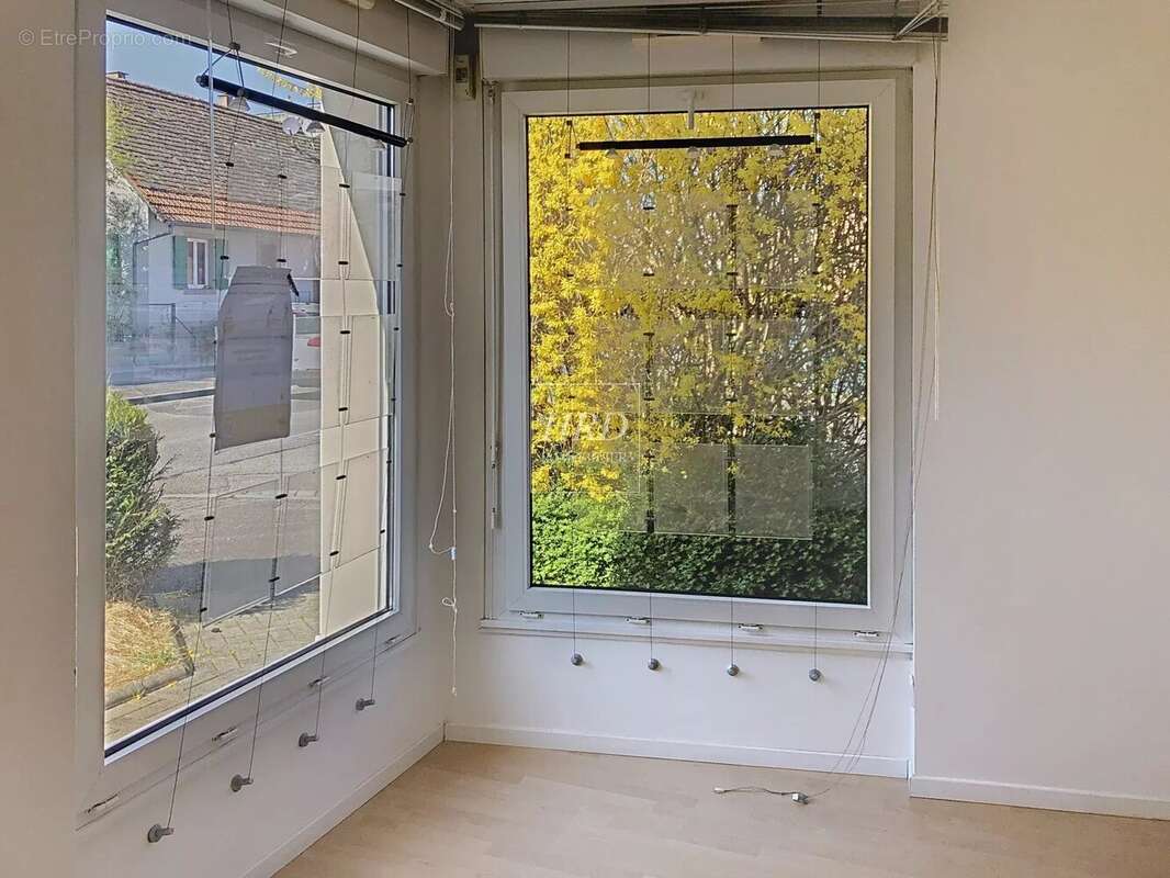 Commerce à STRASBOURG