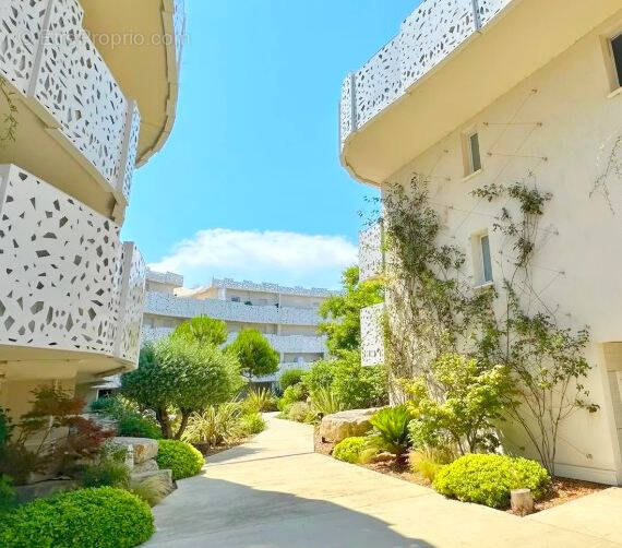 Appartement à LATTES