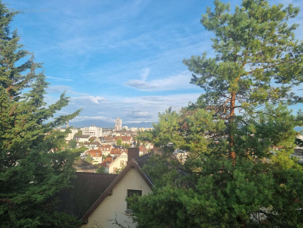 Appartement à RIEDISHEIM