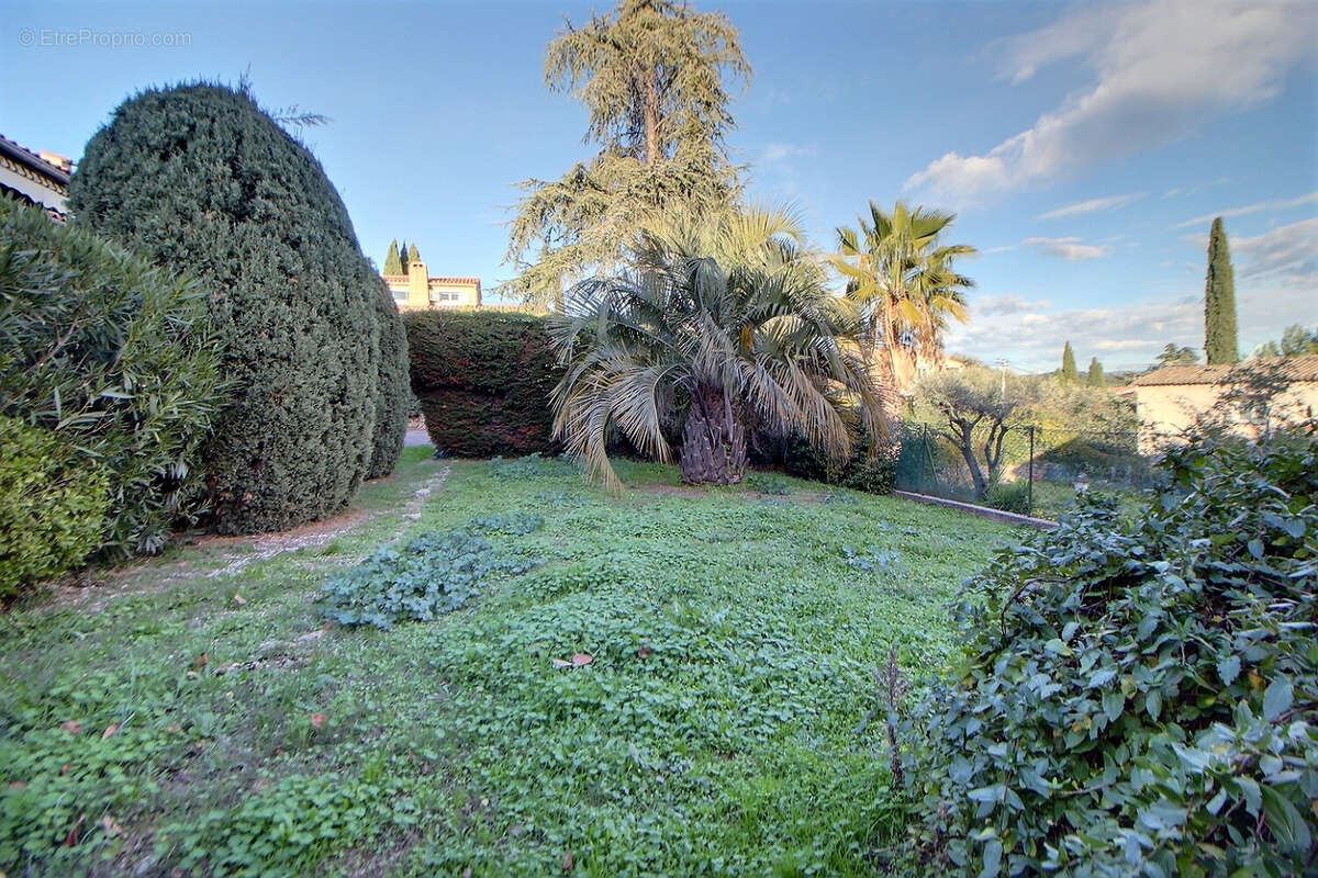Maison à TRANS-EN-PROVENCE