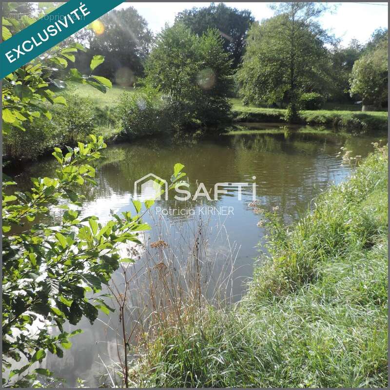 Photo 3 - Maison à LISLE-SUR-TARN