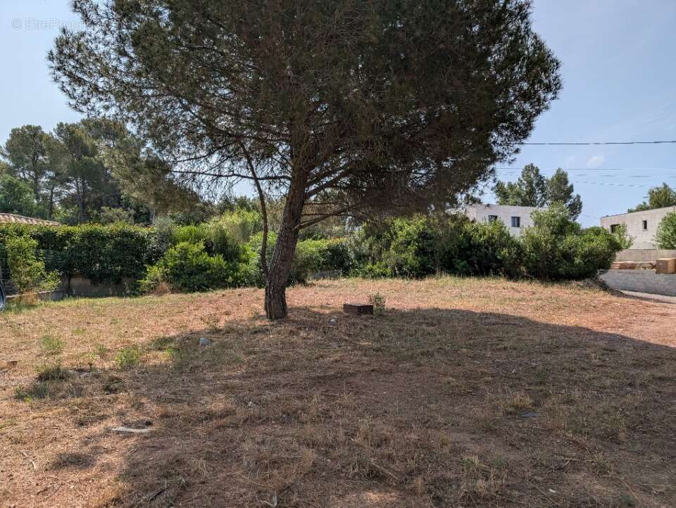 Terrain à FREJUS