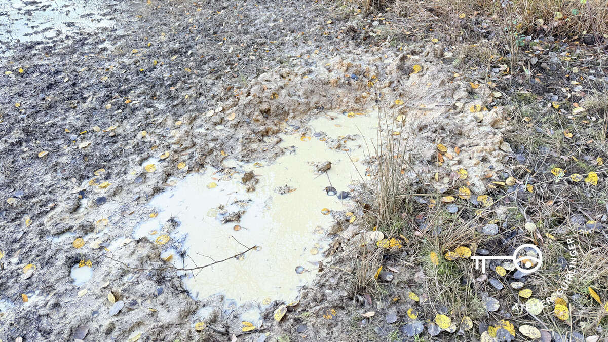 Terrain à NEUNG-SUR-BEUVRON