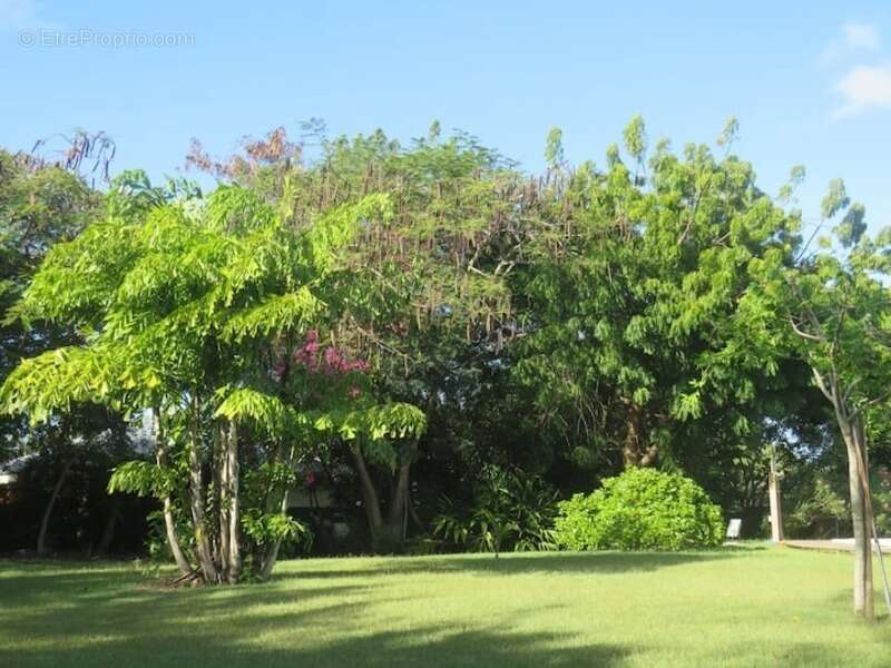Magnifique Domaine sur plus de 4000 m² de terrain avec piscine - photo 2