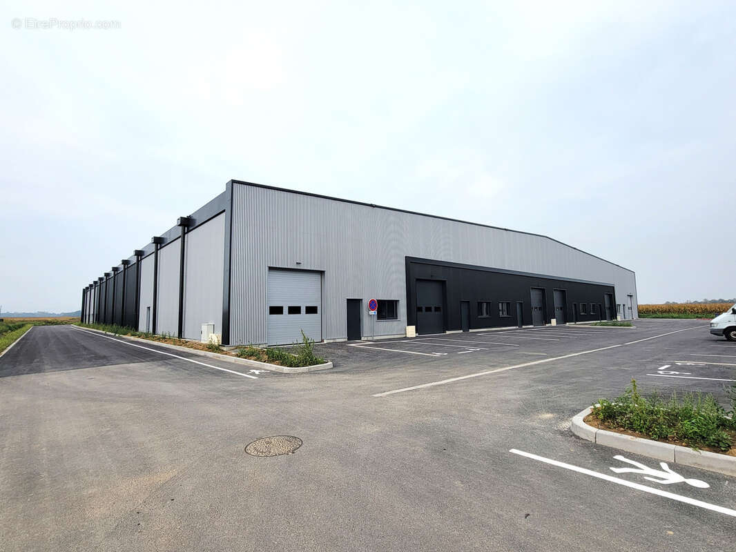 Commerce à FEGERSHEIM