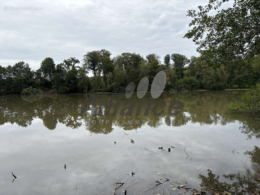 Etang  de  7  ha  50  d eau  entre  luxeuil  et  lure  avec  cabane  de  pecheur - photo 6