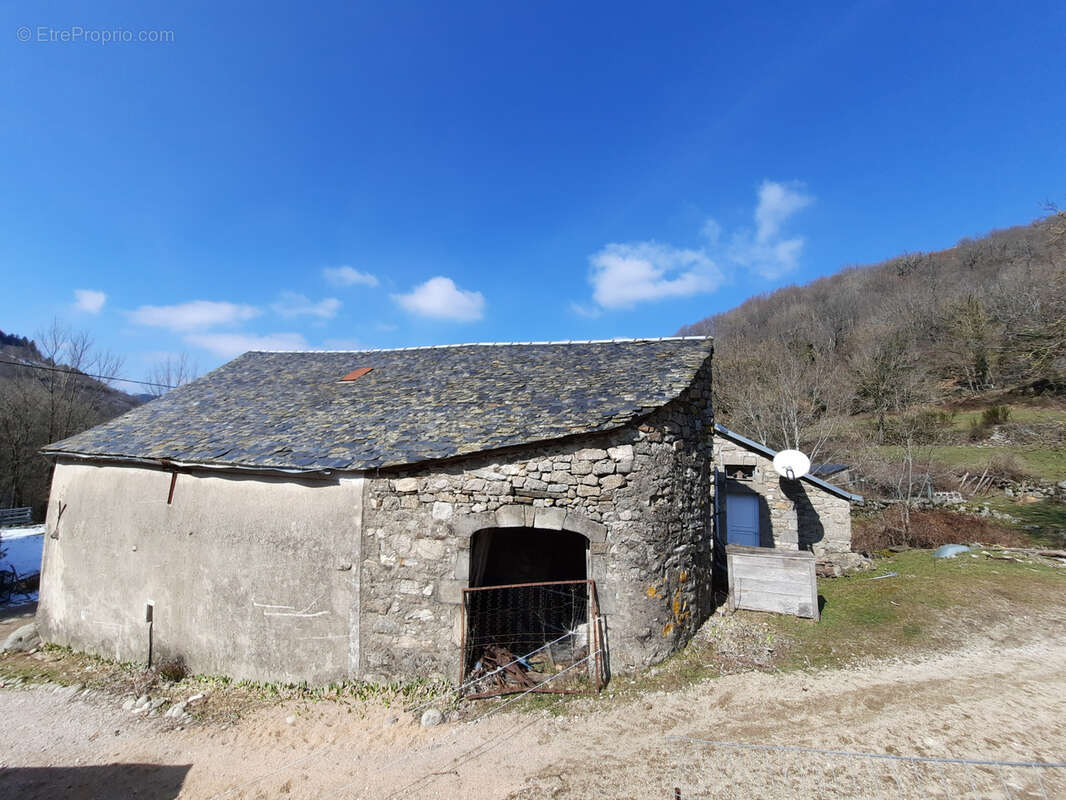 Maison à SAINT-JEAN-DU-BRUEL