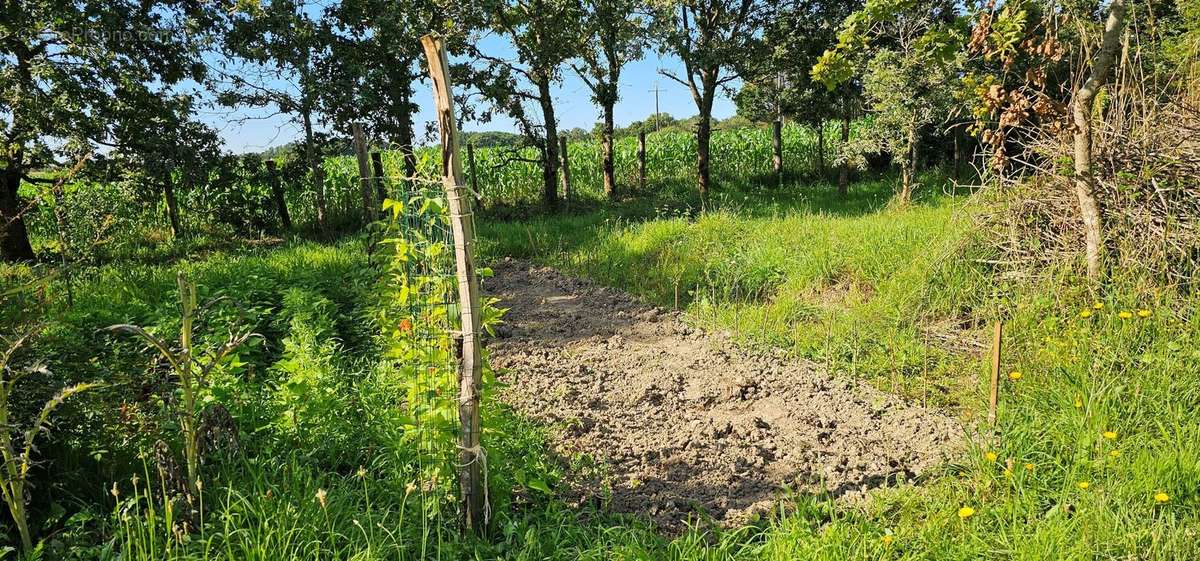 Photo 5 - Terrain à LA PLAINE-SUR-MER