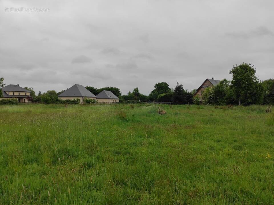 Terrain à FIERVILLE-LES-PARCS